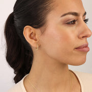 Solid Flair Creole Aurelia