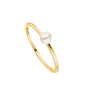 Echtgold Ring Champagne